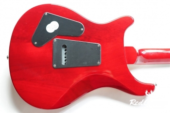 SE Custom 24 - VY